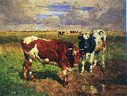 unknow artist Young bulls at a watering place France oil painting artist